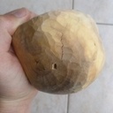 Kuksa fendue, les leçons.