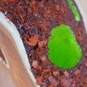 Pot de crayons - porte carte - porte clef USB