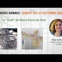 La "forêt" de Notre-Dame de Paris