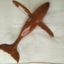 Baleine en bois de fer