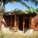 Poulailler en acajou