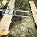 Plateau acacia et frêne