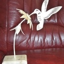 Colibri sur sa fleur