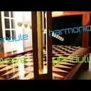 Pendule harmonique