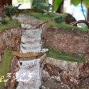 Fontaine à cocktails