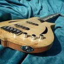 Basse électrique 5 cordes