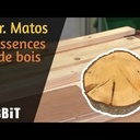 Comment le bois se rétracte et grandes familles de bois