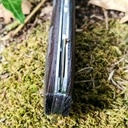 Les deux font la paire !