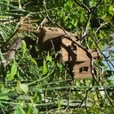 Réve de cabane de sorcière