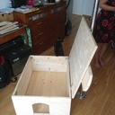Maison pour chats errants