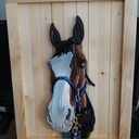 Segmenté - Cheval