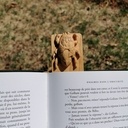 Marque page à 6 pattes