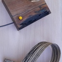 Lampe en Glycéridia