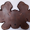 Poirier en Symétrie