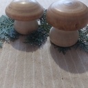 Champignons en hêtre