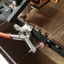 Medailler Noyer et Frêne.