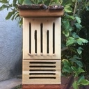 Cabane à papillons et coccinelles