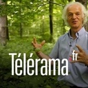 Ernest Zürcher, expert en langue des bois