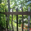 Petit projet d'été: cabane dans les arbres