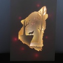 Light box loup