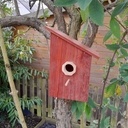 Cabane à oiseaux