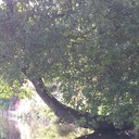 Pour faire un limon d'escalier