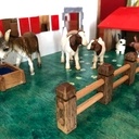 La ferme - retour en enfance