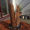 Lampe en écorce fine