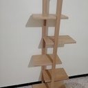 Étagère en bois hêtre