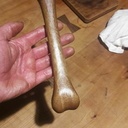 Un os en bois