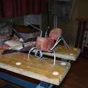 La fourmi Porteuse .....