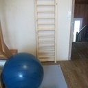 Espalier de gymnastique en sapin.