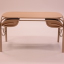 Bureau d'inspiration Art Nouveau