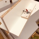 Wolfcraft facon Kreg