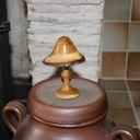 Tournage d'un champignon