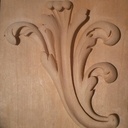 Acanthe éclairée par la lumière du soleil (2)