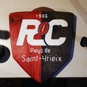 Blason rugby bois et résine epoxy