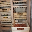 Raté pour les tomates, ca sera des pommes! Un legumier et ses tiroirs cagettes