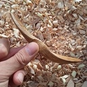 37 ème cuillères de 2023 : Cuillères en érable