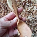 22 ème cuillère de 2024 : Cuillère dans ce pommier de 30ans