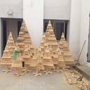 Un p'tit lapin dans un bois d'sapin...