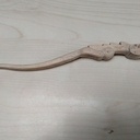 Pic à cheveux Dragon.