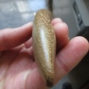 Un p'tit kayak en iroko (récup banc public)