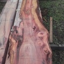 La nature fait bien les choses