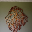 Le lion est sorti de la savane