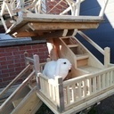 Cabane pour lapins chouchoutés