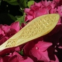 Invitation à passer ! Atelier sculpture en coche, ou chip carving.