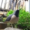 Oiseau sculpté dans une chute de tasseau