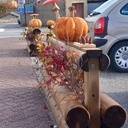 Sculptures d 'automne