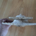 Boite orientale carrée vermoulue